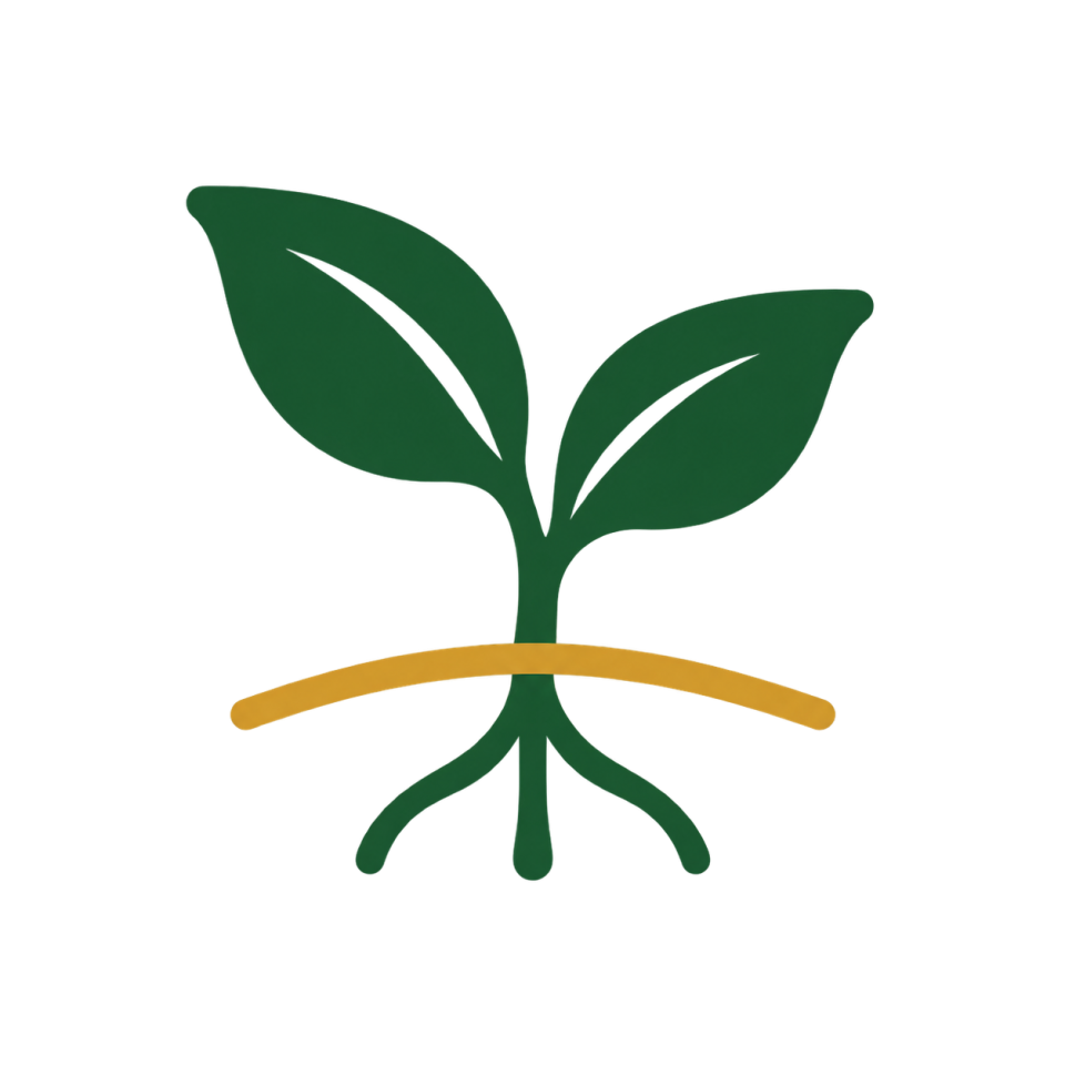 Un potager et ses légumes